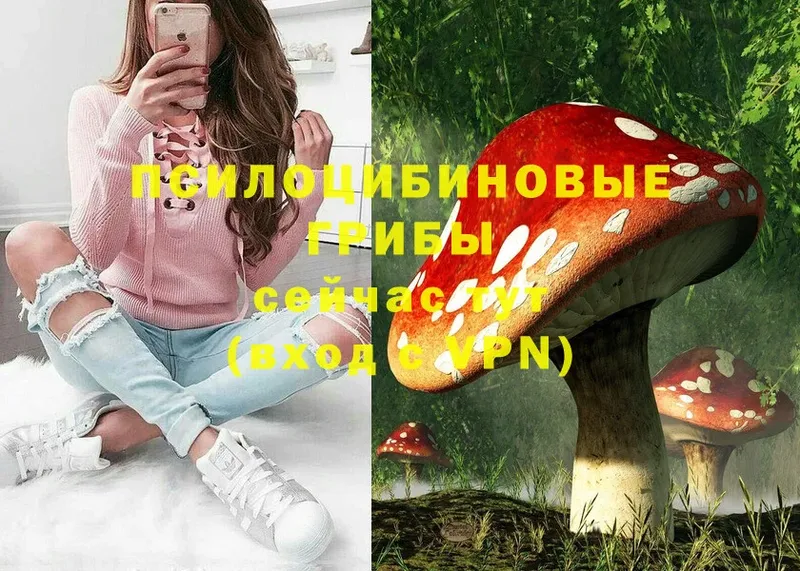 наркота  Володарск  площадка наркотические препараты  Галлюциногенные грибы MAGIC MUSHROOMS 